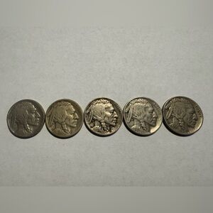 Buffalo Nickel Coin Collection